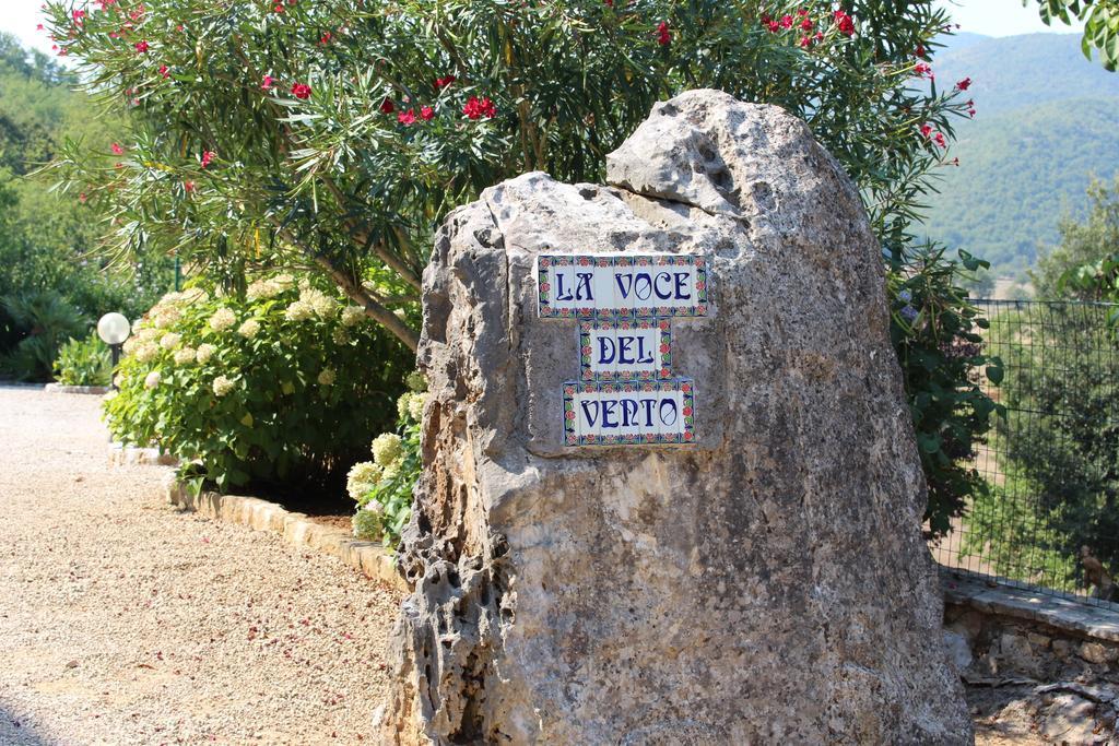 Villa La Voce Del Vento Pastena  外观 照片